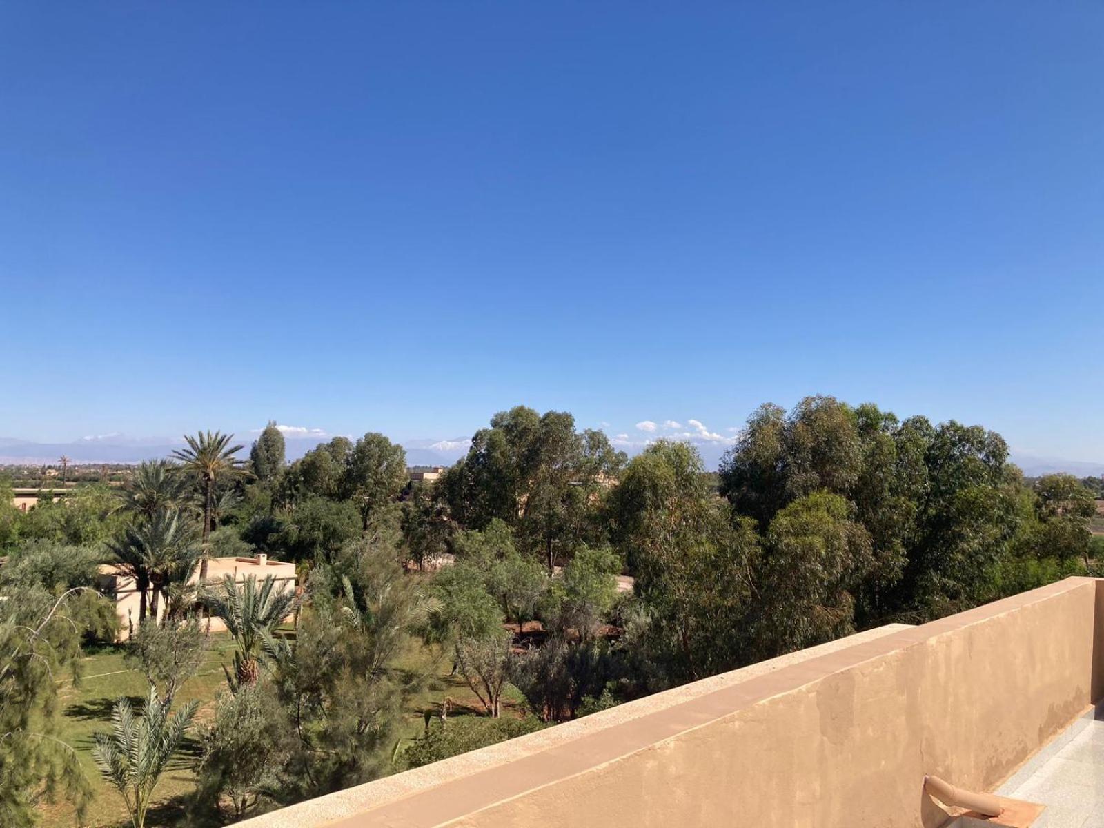 Family Palms Luxe Villa Marrakech With Private Pool 마라케시 객실 사진